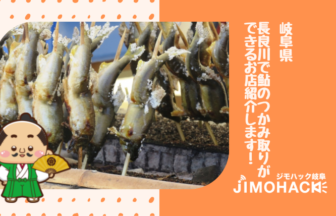 長良川の鮎のつかみ取りの画像